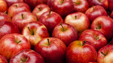 what are the cheapest apples